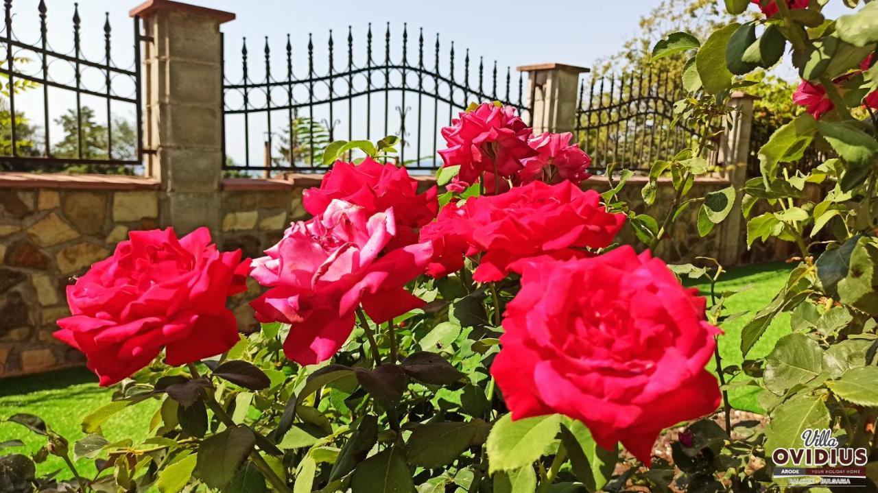 Arode Villa Ovidius Balcsik Kültér fotó